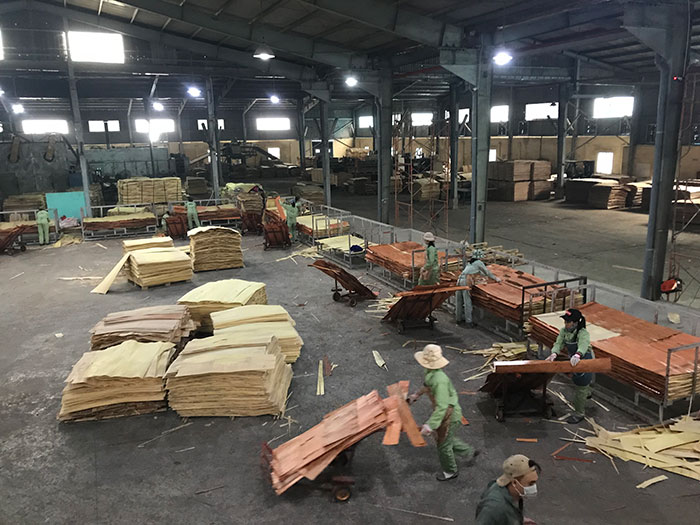 nhà máy sản xuất gỗ ép - Plywood