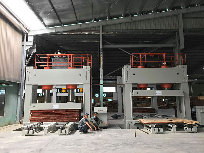 nhà máy sản xuất gỗ ép - Plywood